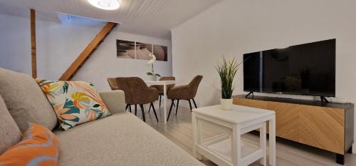 Televiisor ja/või meelelahutuskeskus majutusasutuses 4P vue mer et montagne