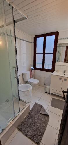 une salle de bain avec toilettes et douche en verre dans l'établissement 4P vue mer et montagne, à Menton