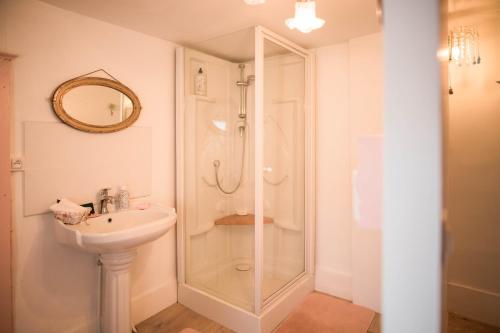 une salle de bain avec douche et lavabo dans l'établissement The Vintage Bed and Broc', à Saint-Calais