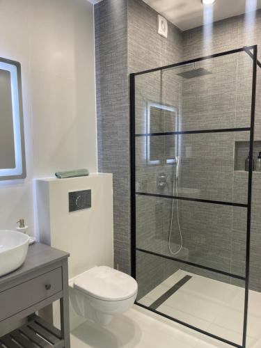 a bathroom with a shower and a toilet and a sink at Christy’s House in Debrecen