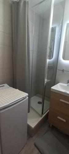 La petite salle de bains est pourvue d'une douche et d'un lavabo. dans l'établissement Les Bastides Au calme joli appartement avec terrasse - Parking - Piscine - Clim, à Saint-Cyprien
