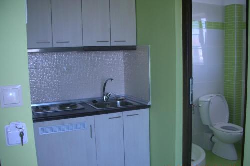 a small kitchen with a sink and a toilet at Villa Niovi in Nei Poroi