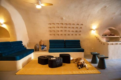 a dog laying on the floor in a room withools at Amphora Villas Oia Santorini in Foinikiá