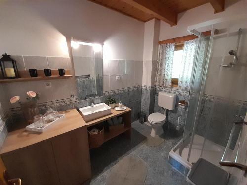 a bathroom with a sink and a toilet and a shower at Logarska koča in Fokovci