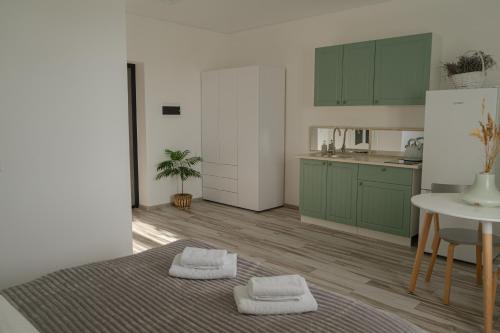 Kuchyň nebo kuchyňský kout v ubytování TREND HOUSE Apartments