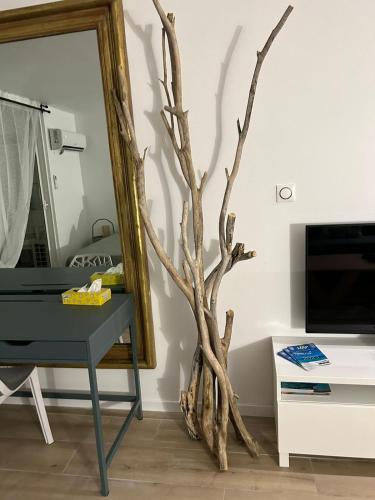 a fake tree next to a desk and a mirror at Appartement Luxe Ocean View 9403 in Cul de Sac