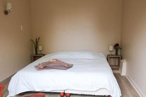 1 dormitorio con 1 cama blanca y 2 mesitas de noche en Le château rouge, en Écommoy