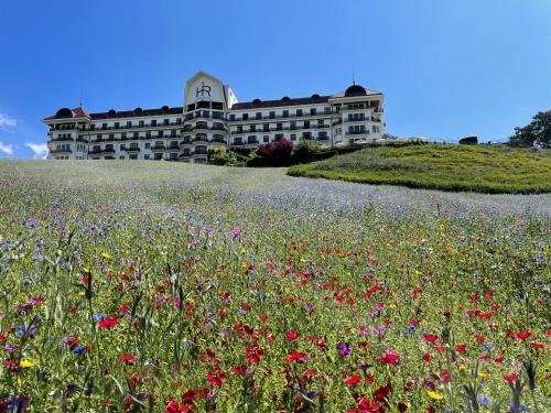 a building on a hill with a field of flowers at Hôtel Royal in Évian-les-Bains