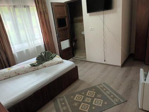 Μια τηλεόραση ή/και κέντρο ψυχαγωγίας στο Casa Peneșel