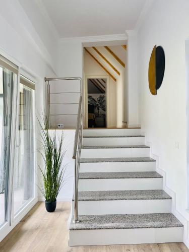 Фотография из галереи Dendro Apartment-Free parking в Клуж-Напоке