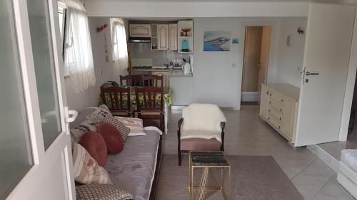 sala de estar con sofá y cocina en Apartment Branka, en Labin