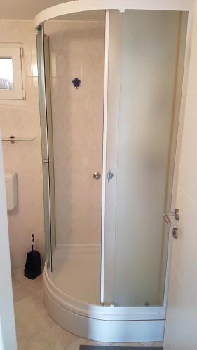 y baño con ducha y puerta de cristal. en Apartment Branka, en Labin