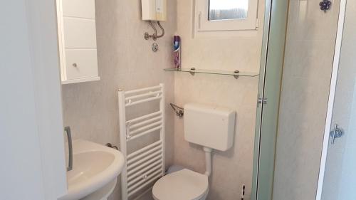 Baño pequeño con aseo y lavamanos en Apartment Branka, en Labin