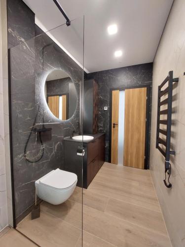 a bathroom with a toilet and a sink and a mirror at Birštono Perlas apartamentai in Birštonas