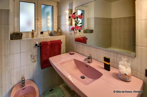 une salle de bain avec un lavabo rose et un miroir dans l'établissement Villa Ropartz, à Roscoff