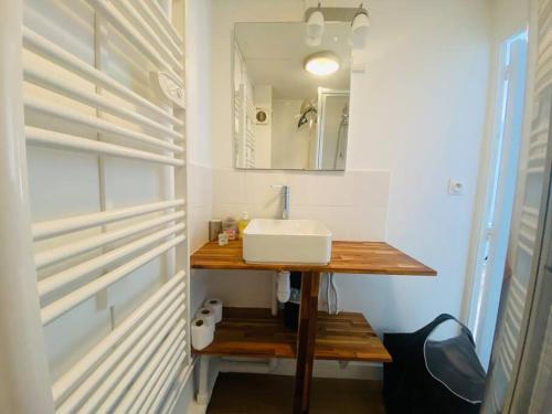 une salle de bain avec un lavabo et un miroir dans l'établissement Le studio Aigle - proche quais rive droite - 249, à Rouen