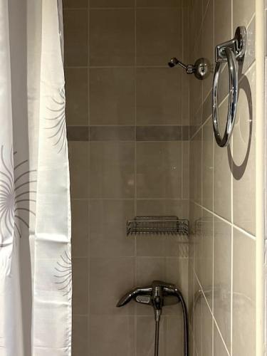 a shower with a shower head in a bathroom at Jimmy's Pool Apartment in Perea