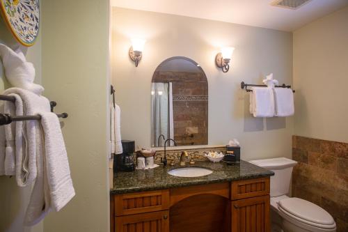 a bathroom with a sink and a toilet and a mirror at Castillo Inn at the Beach in Santa Barbara