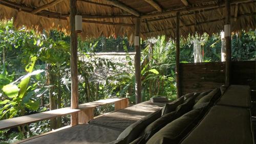 Jungle hut in pristine nature with breakfast incl.