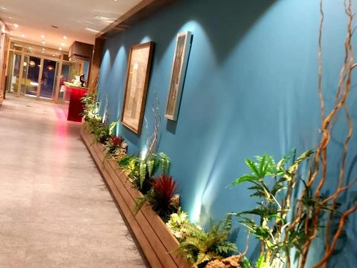 a blue wall with a row of plants on it at Baykara Hotel in Konya