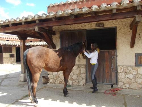 صورة لـ Hotel Los Rastrojos في اراندا دي دويرو