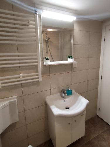 a bathroom with a sink and a mirror at Comfort Rooms Remiza - Free Private Parking - Self check-in in Zagreb