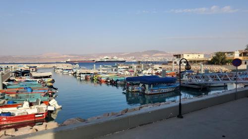 Fotografie z fotogalerie ubytování La Riva Hotel v destinaci Aqaba