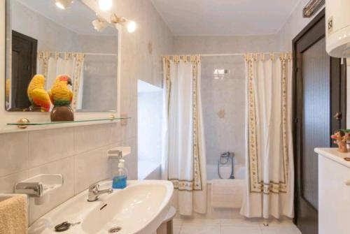 uma casa de banho com um lavatório e um chuveiro com 2 papagaios em Casa LaCarusa 28 