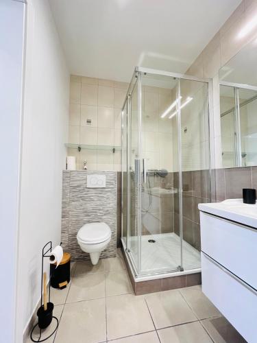 une salle de bain avec une douche, des toilettes et un lavabo dans l'établissement Chez Nonno, à Colmar