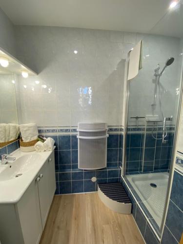ein Bad mit einer Dusche und einem Waschbecken in der Unterkunft Appartement luxueux rénové avec balcon & garage in Troyes