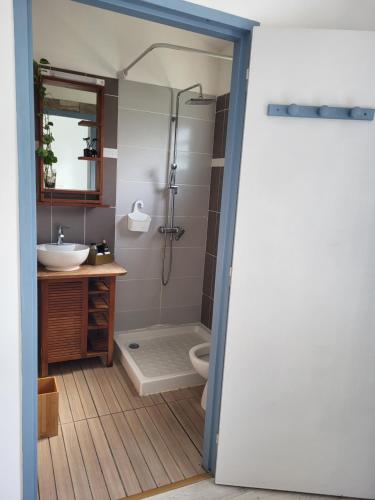 een badkamer met een douche, een wastafel en een toilet bij LA KAZ A DIAMANTS in Saint-Denis