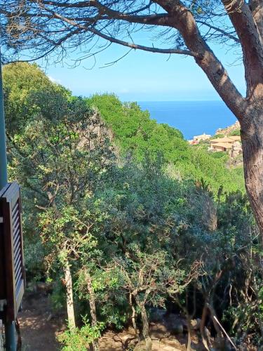 a hill with trees and the ocean in the background at Villa La Lecceta surrounded by greenery and sea view with sunset in Costa Paradiso