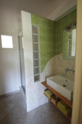 une salle de bain avec un lavabo et une douche dans l'établissement Chambres d'Hôtes Carpe Diem, à Callian