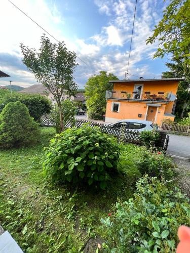 a house with a bush in front of a yard at Pension DonauBlick Grein 1 , Spitzfeldstr 1 in Grein