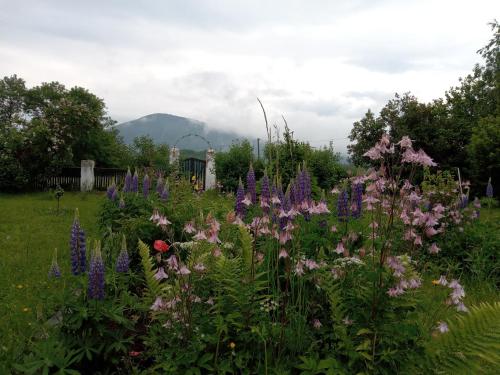 un jardín con flores púrpuras y montañas de fondo en Dom z widokiem - Wilkanów 184, en Wilkanów
