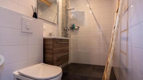 uma casa de banho com um WC, um lavatório e um chuveiro em Strandhuis aan zee em Noordwijk