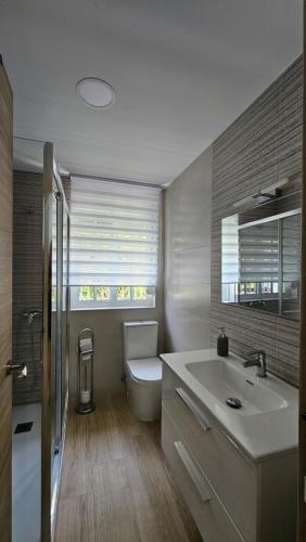 baño con lavabo y aseo y ventana en Apartamento Trajano, en Santiponce