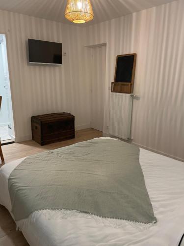 ein Schlafzimmer mit einem Bett und einem TV an der Wand in der Unterkunft La chambre verte in Bédée
