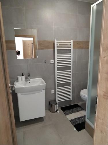 bagno con lavandino, servizi igienici e specchio di Apartmány Kemp Vyskytná 