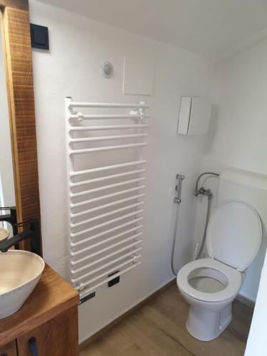 a bathroom with a toilet and a sink at Ladybug Eco House 