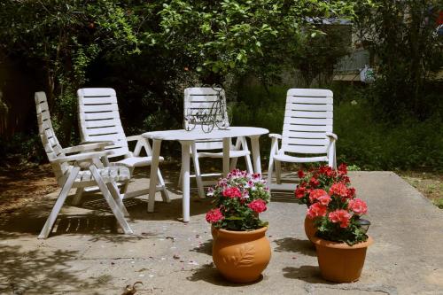 A Pleasant Stay in Chania
