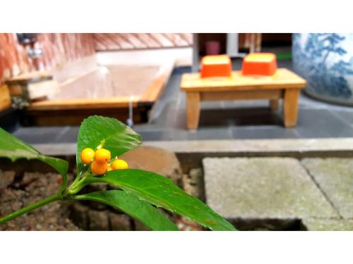 a plant with yellow berries in front of a bench at Yuzennoyado Toukai - Vacation STAY 57658v in Ureshino