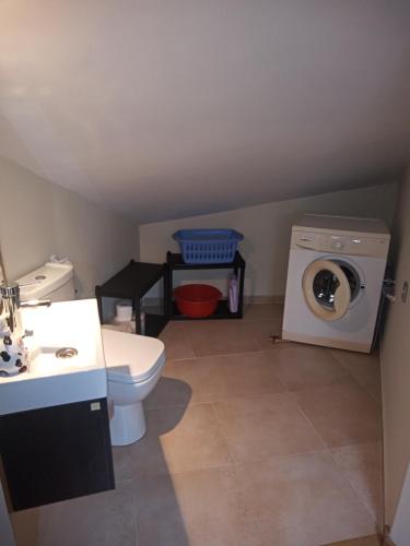 a bathroom with a toilet and a washing machine at Apartamento La Riberuca in Suances