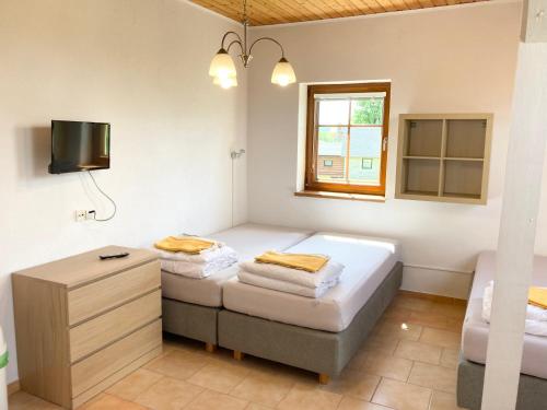 a bedroom with two beds and a tv and a window at Pension Hofberg in Jetřichovice