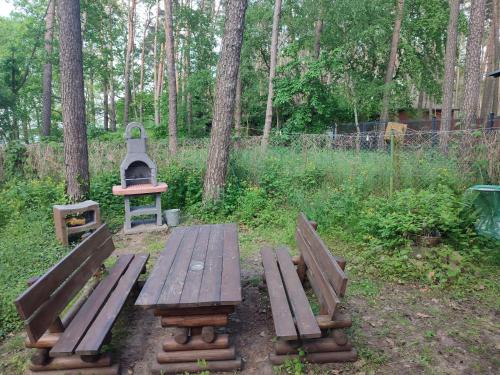 una mesa de picnic y una parrilla en un parque en Boszkowo Domki-Stonki, en Boszkowo