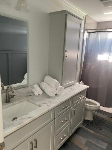 een witte badkamer met een wastafel en een toilet bij Vaquerano Kingdom in Rockvale