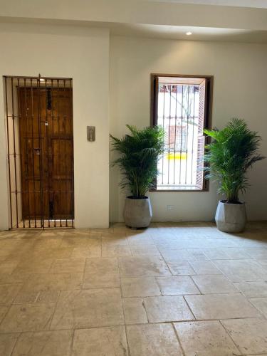 a room with two potted plants and a window at Alko Hotel Casa Nispero in Cali