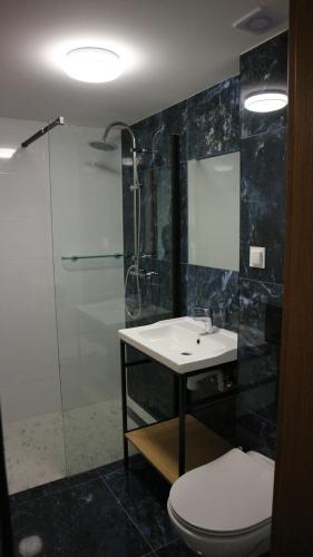 a bathroom with a toilet and a sink and a shower at APARTAMENTY i POKOJE "PASJA" - 2 minuty do plaży in Dźwirzyno
