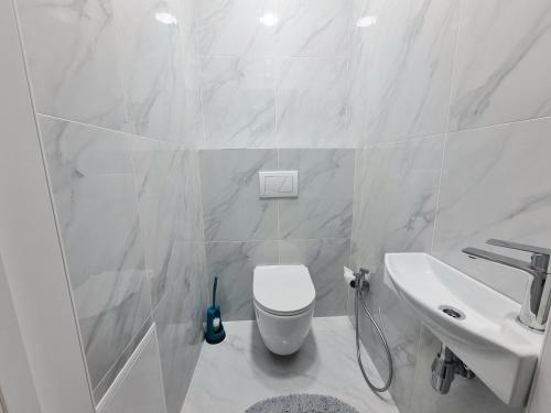 a white bathroom with a toilet and a sink at Center, Albisoara str., 1bedroom and living with balcony in Chişinău
