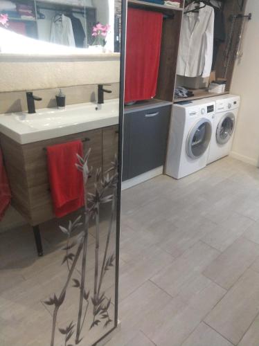 uma casa de banho com um lavatório e uma máquina de lavar roupa em Chez cococuisine em Les Nouillers
